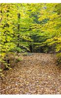 2020 Weekly Planner Pretty Fall Leaves Autumn Path 134 Pages: 2020 Planners Calendars Organizers Datebooks Appointment Books Agendas
