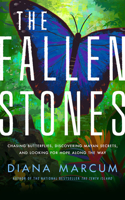 Fallen Stones