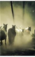 The Hacker-Proof Internet Address Password Book - Wild Horses