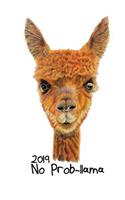 2019 No Prob-llama