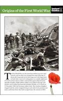 Origins of the First World War