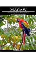 Macaw: Fascinating Macaw Facts for Kids with Stunning Pictures!