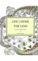 Life under the lens