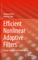 Efficient Nonlinear Adaptive Filters