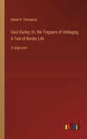 Gaut Gurley; Or, the Trappers of Umbagog, A Tale of Border Life