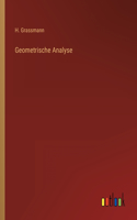 Geometrische Analyse
