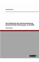 Die Problematik der Verlustverrechnung bei beschränkter Haftung gem. § 15a EStG