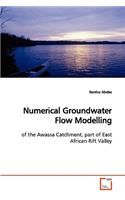Numerical Groundwater Flow Modelling