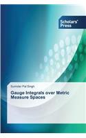 Gauge Integrals over Metric Measure Spaces