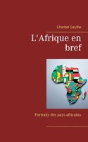 L'Afrique en bref: Portraits des pays africains