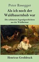 Als ich noch der Waldbauernbub war (Großdruck): Die schönsten Jugendgeschichten aus der Waldheimat