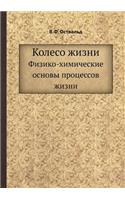 Колесо жизни. Физико-химические основы п
