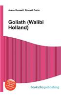 Goliath (Walibi Holland)