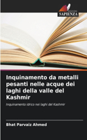 Inquinamento da metalli pesanti nelle acque dei laghi della valle del Kashmir