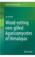 Wood-rotting non-gilled Agaricomycetes of Himalayas