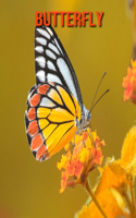 Butterfly: Amazing Facts & Pictures