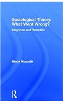 Sociological Theory: What went Wrong?