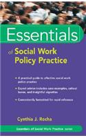 Essentials of Social Work Policy Practice