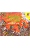 How the Animals Got their Tails