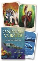 Animal Voices Oracle