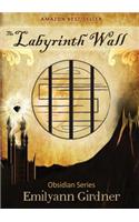 The Labyrinth Wall