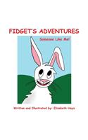 Fidget's Adventures