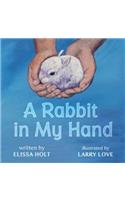 Rabbit in My Hand