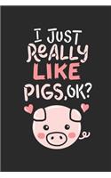 I Just Really Like Pigs, OK?