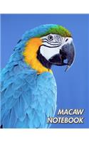 Macaw Notebook
