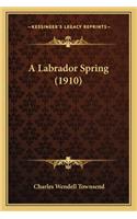 A Labrador Spring (1910)