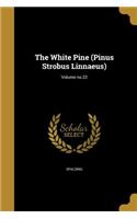 White Pine (Pinus Strobus Linnaeus); Volume no.22