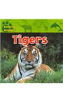 Tigers