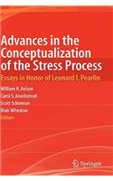 Advances in the Conceptualization of the Stress Process