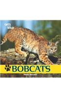 Bobcats