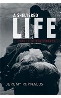 Sheltered Life: Take It to the Streets