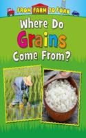 Where Do Grains Come From?: (From Farm to Fork: Where Does My Food Come From?)