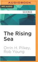Rising Sea