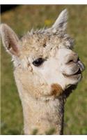 Alpaca Headshot Animal Journal: 150 Page Lined Notebook/Diary