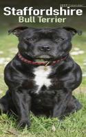 Staffordshire Bull Terrier Slim Calendar 2019