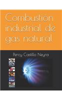 Combustión Industrial de Gas Natural