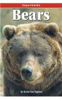 SuperGuide: Bears