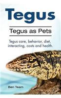 Tegus. Tegus as Pets. Tegus care, behavior, diet, interacting, costs and health.