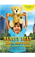 Harvey Bear Gets Rescued