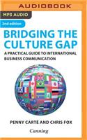 Bridging the Culture Gap