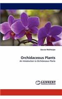 Orchidaceous Plants