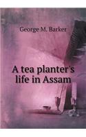 A Tea Planter's Life in Assam