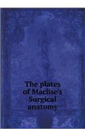The Plates of Maclise's Surgical Anatomy