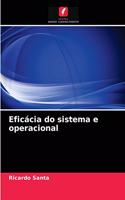 Eficácia do sistema e operacional