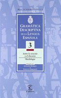 Gramatica descriptiva de la lengua espanola. Vol. 3: Entre la oracion y el discurso. Morfologia