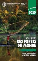 La situation des forets du monde 2020